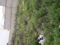Terrain de 250 m2 a 187 000 dt